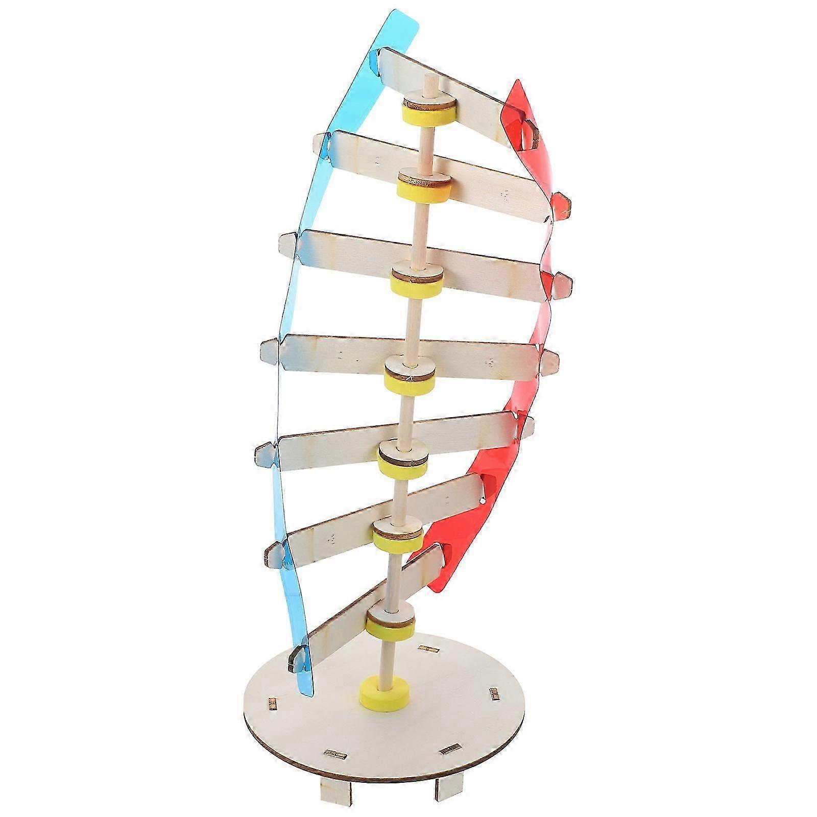 Educational DNA Model, Plastic Human Genes Model for Biology Study