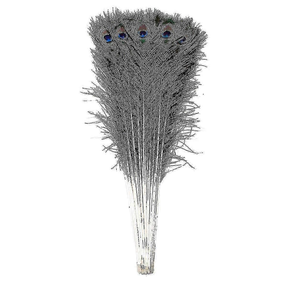 Natural Large Peacock Feathers compatible with Decoration