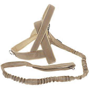 Pet Dog Harness Adjustable Leash and Harness Set for Outdoor Use