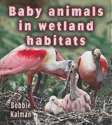 Tierbabys in Feuchtgebiete