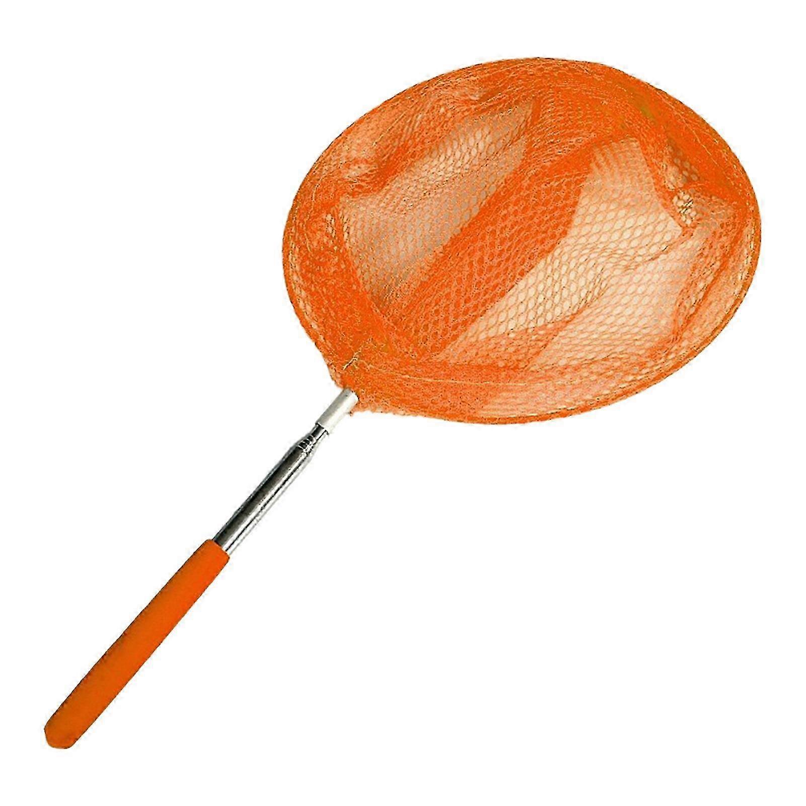 Adjustable Kids Catch Net Spring Outdoor