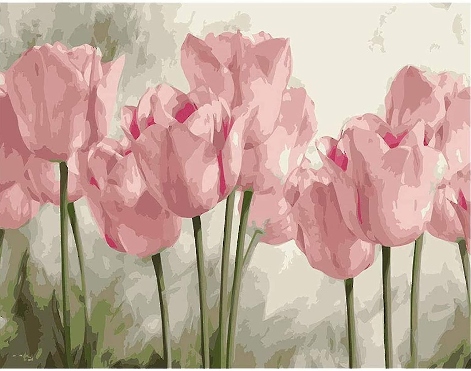 Paint By Numbers For Adults Kit Painting Diy Begineer 16x20inch (pink Tulips)