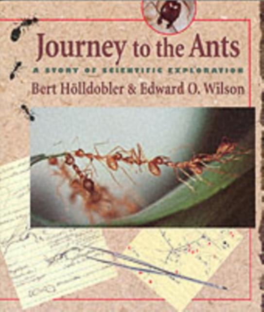 Journey To The Ants by Edward O. Wilson Paperback