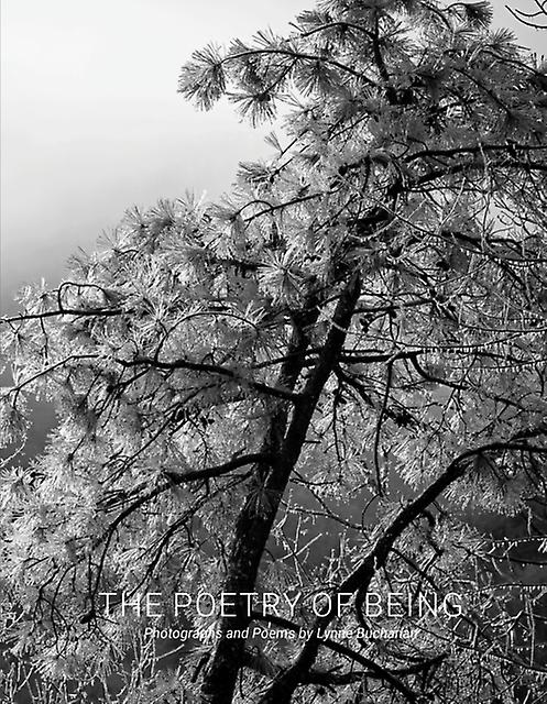 The Poetry Of Being Hardback Book