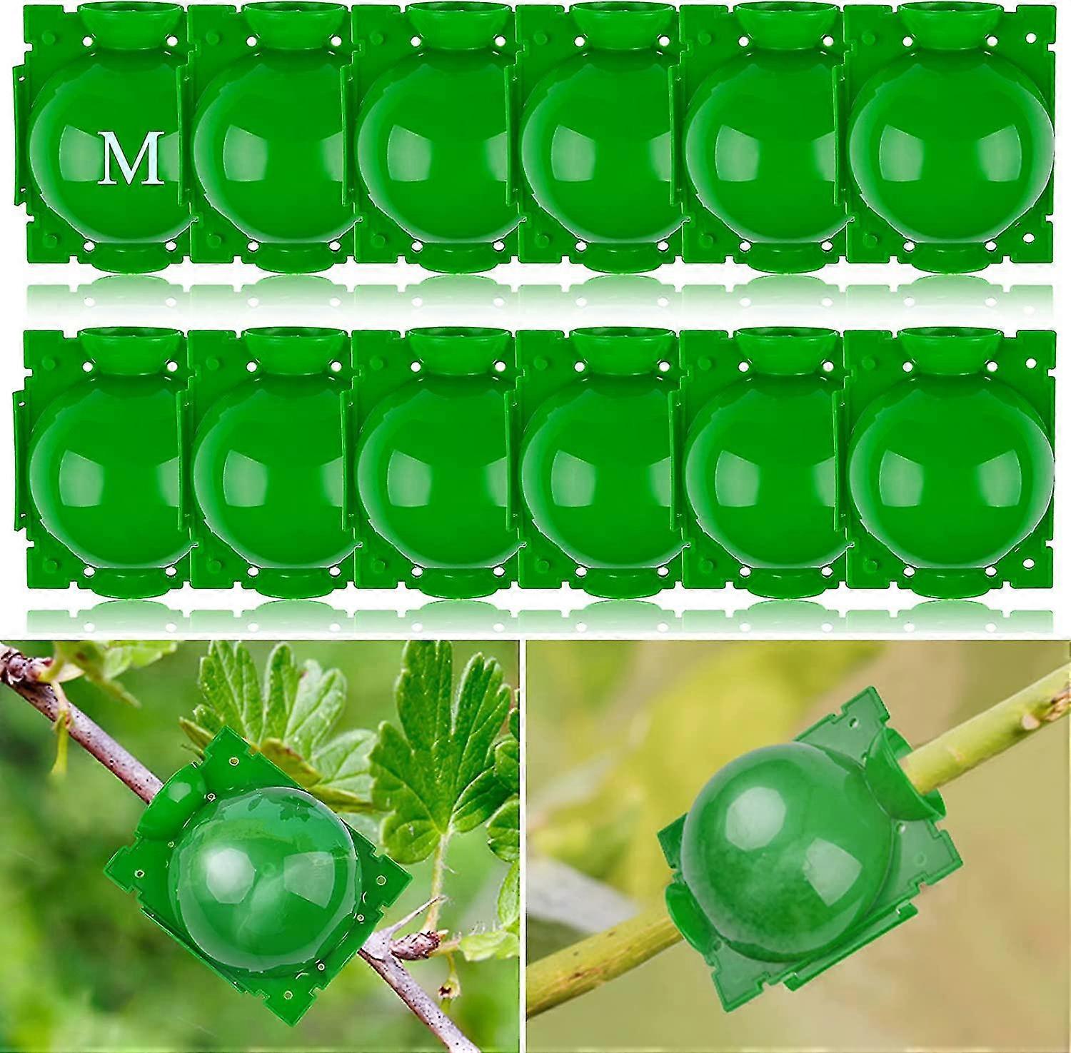 Plant Root Growing Box 12 Pieces