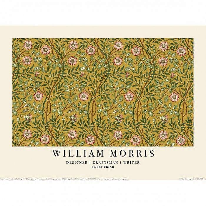 William Morris Sweet Briar Paper Poster