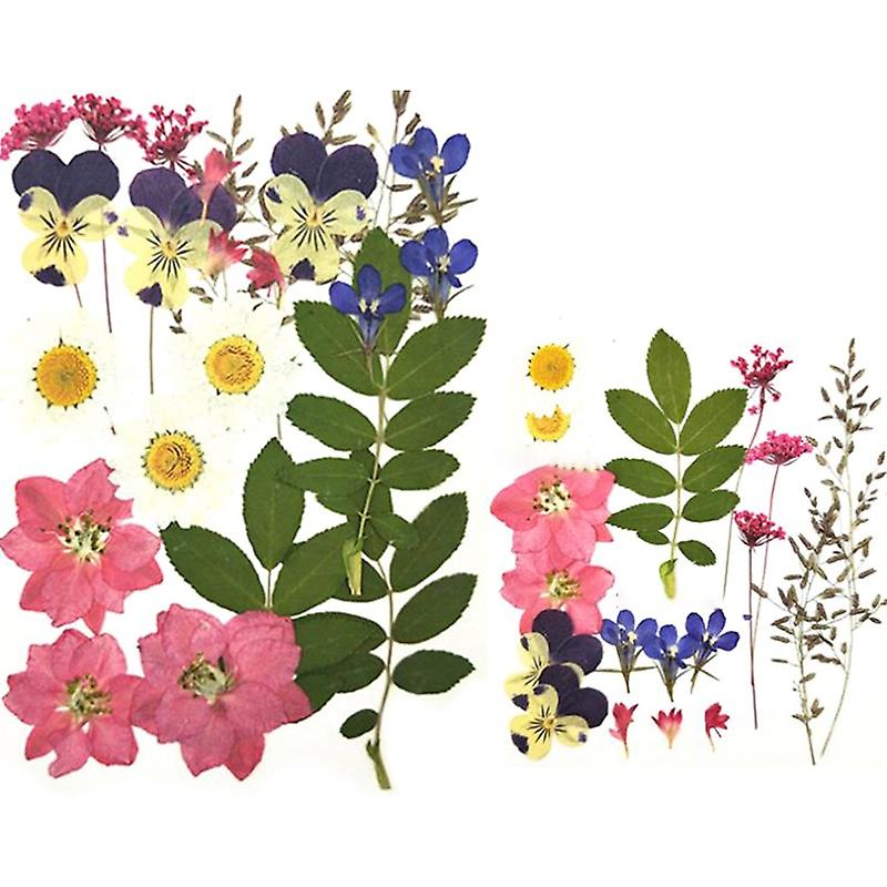 Small Dried Flowers Scrapbooking Diy Preserved Flower Decor