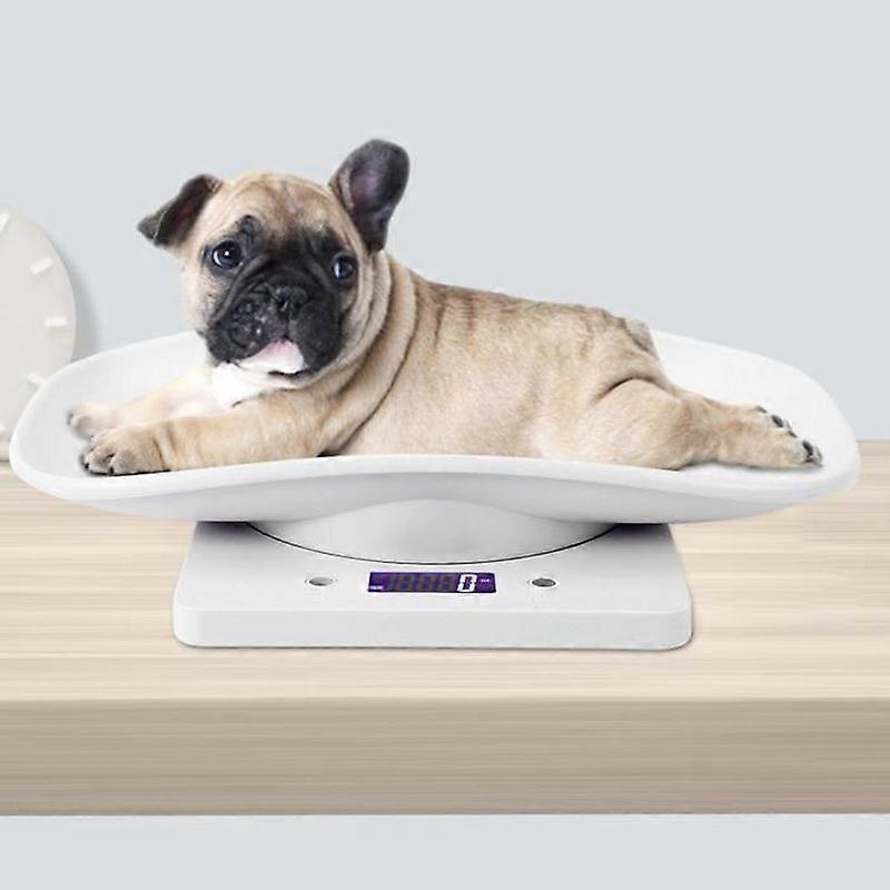 Digital Pet Scale Small Multifunction Electronic Kitchen Scale for Cats Dogs Measuring