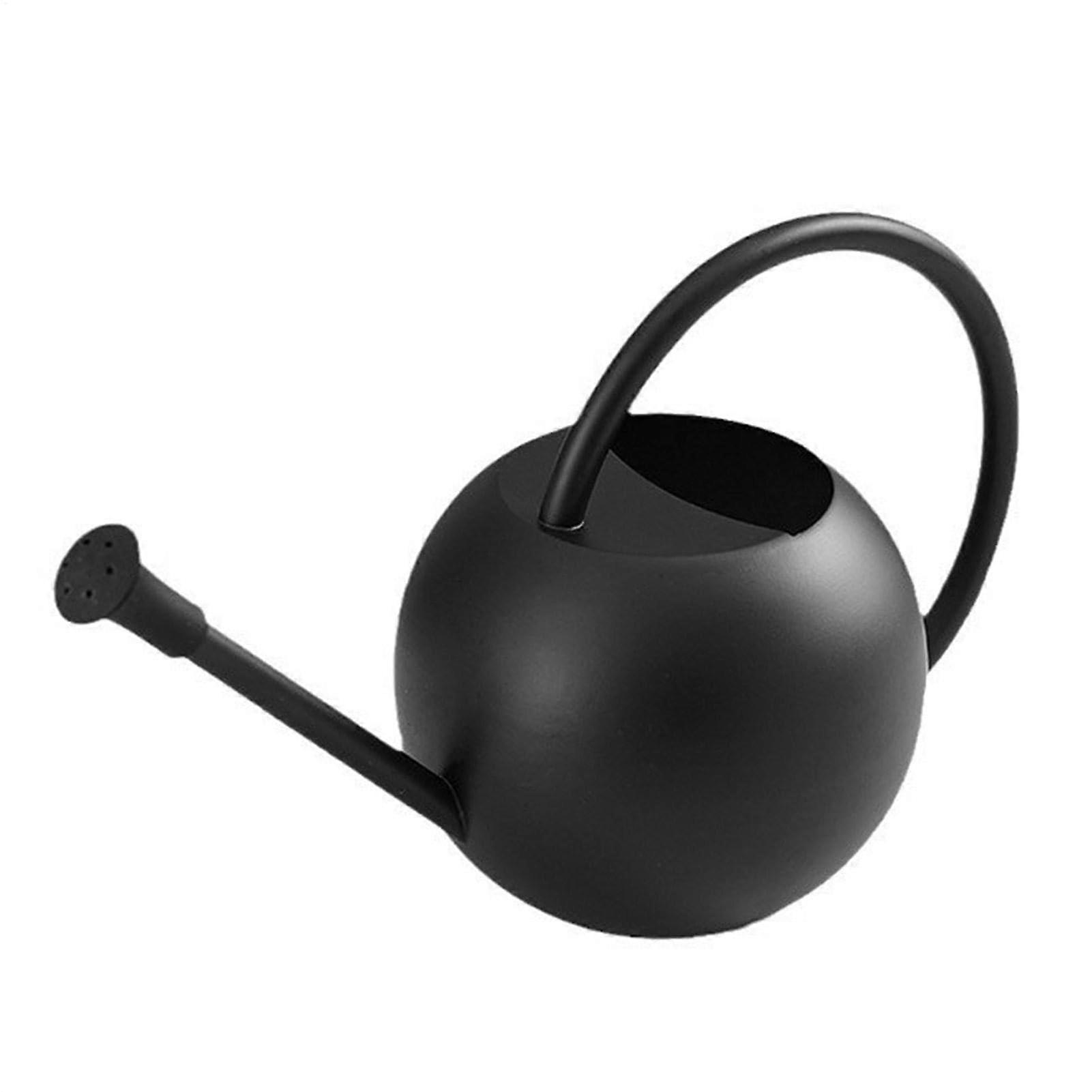 Watering Can With Long Spout Small Size Stainless Steel Kettle Style