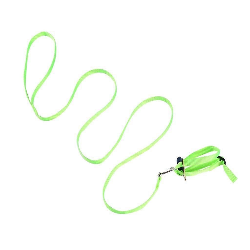 Parrot Flight Harness, Adjustable Nylon Leash, Comfortable Training Rope for Small Birds in Green