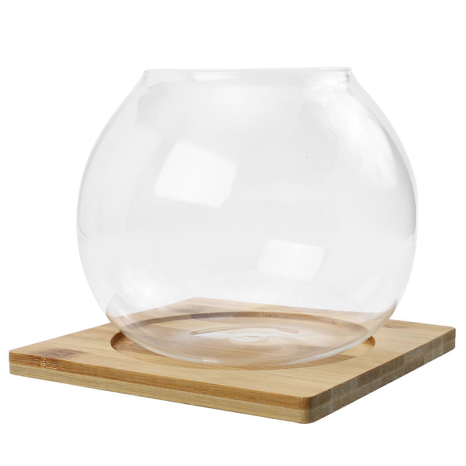 Storage Bottle Micro Landscape Bottle for Storage Use 2Sets