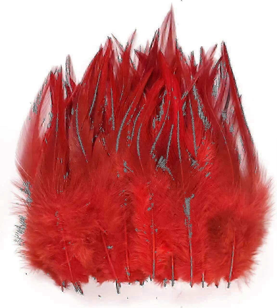 100pcs Feather For Crafts 25-26