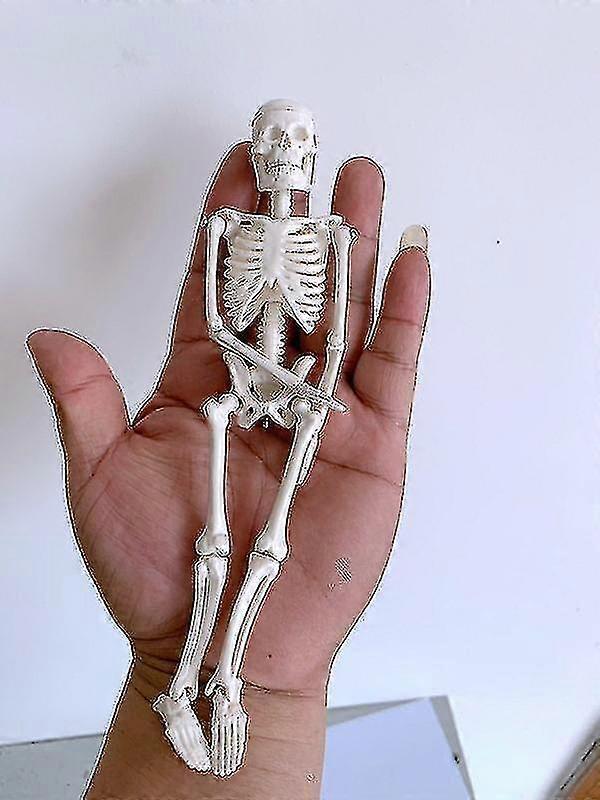 Mini Skeleton Toy Tiny Skeleton Model With Detachable Skull For K 25-26