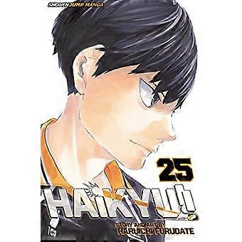 Haikyu Vol. 25