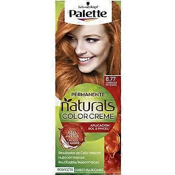 Palette Natural Tinte 8.77 - Cobrizo Intenso - Schwarzkopf - Tinte para el pelo - Women - Red - Red - Cream