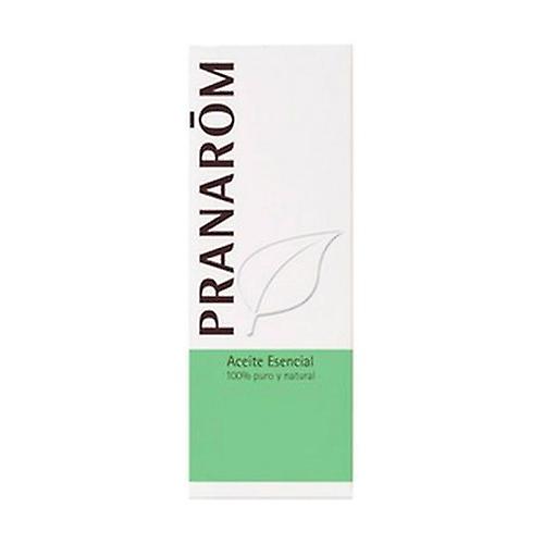 Worm Grass (Tanacetum) Essential Oil 5 ml of essential oil