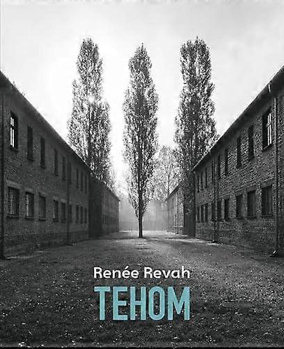 Tehom Abyss by Renee Revah Paperback