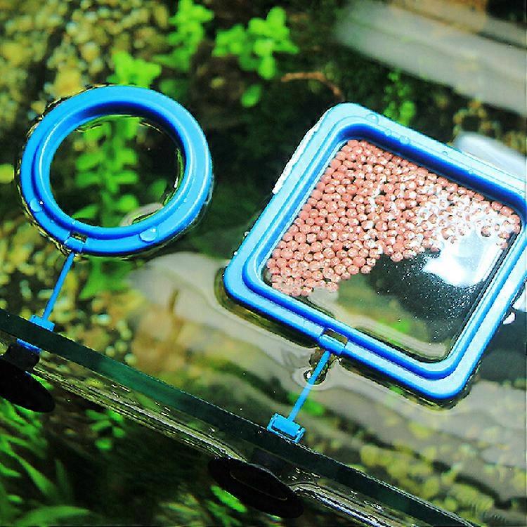 Prevent Feed Floating Everywhere Aquarium Square Circle Feeding Ring Fish Tank Station Fish Food Feed Feeding Ring