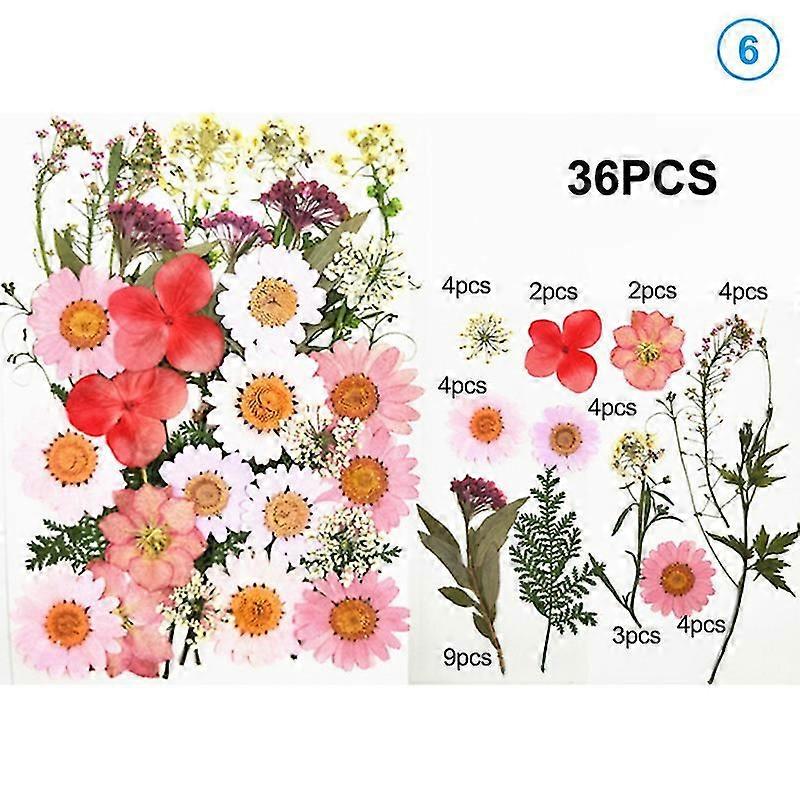 Pressed Flower Handmade Mixed Dried Flowers Material for DIY Aromatherapy Candles Greeting Card