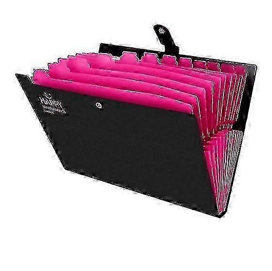 Expandable Portable Document Folder, A4 Folder, A4 Folder, 12 Compartments Handheld Folder Folder