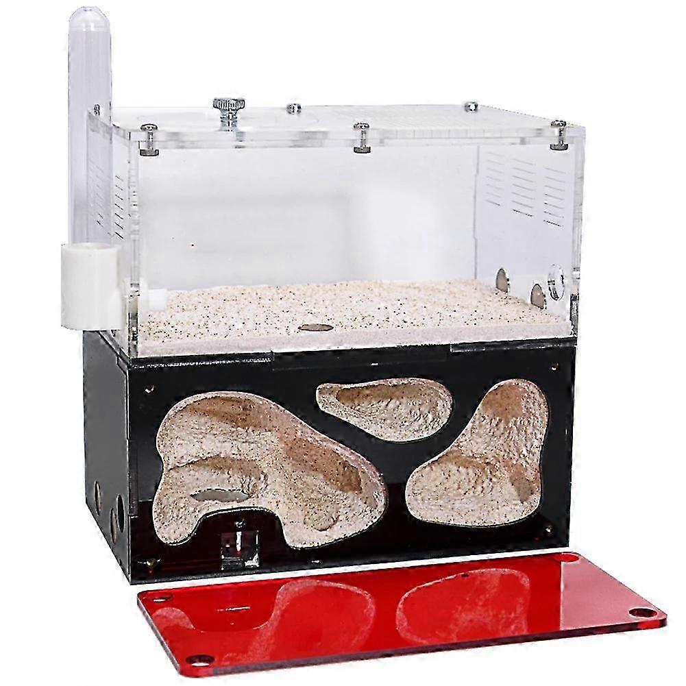 Acrylic Ant Farm Infinite Expansion Nest Temperature Control Insect House Colony Drinker Anthill Kit Accessories