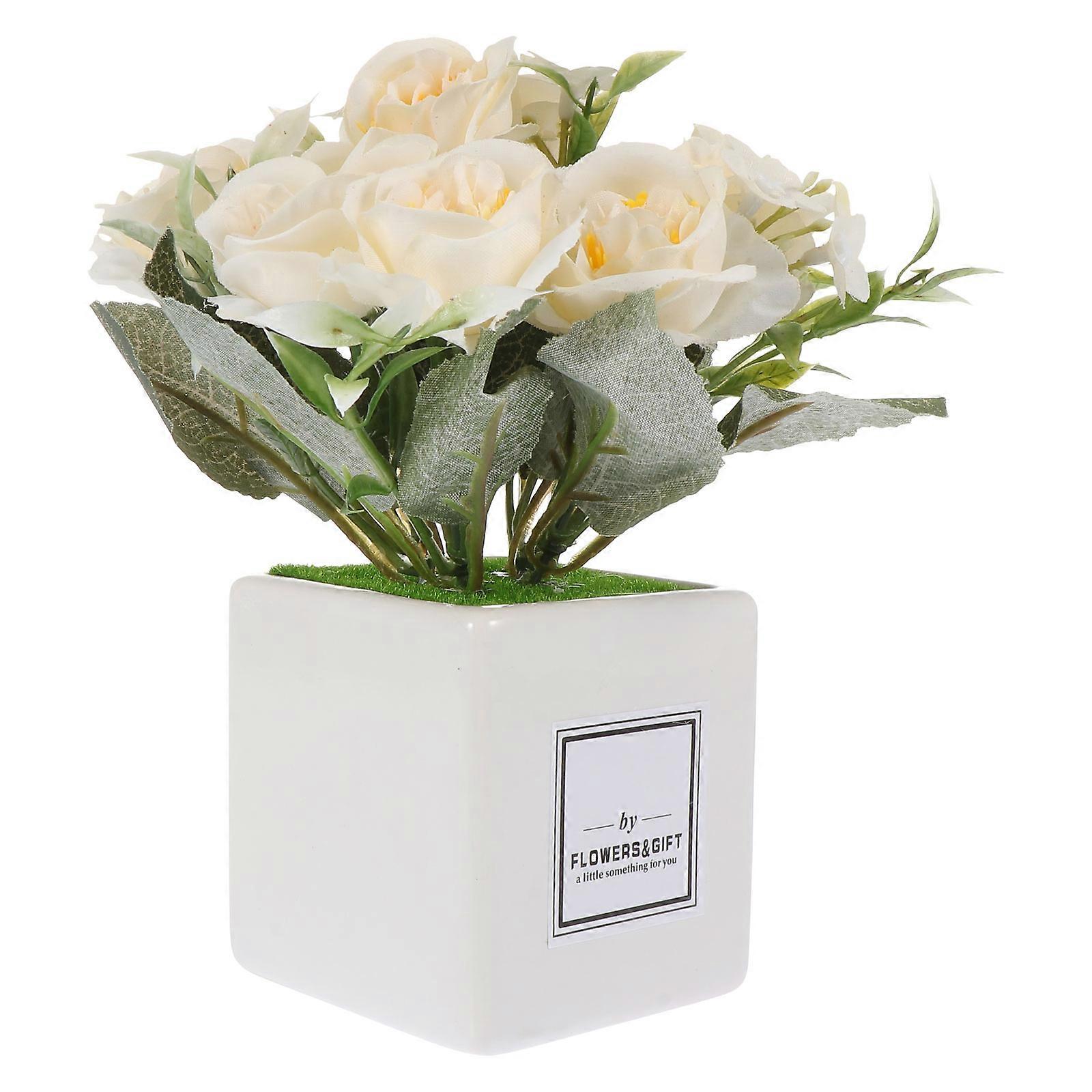 Indoor Plant , Attractive Addition to Any Room, and Realistic Design