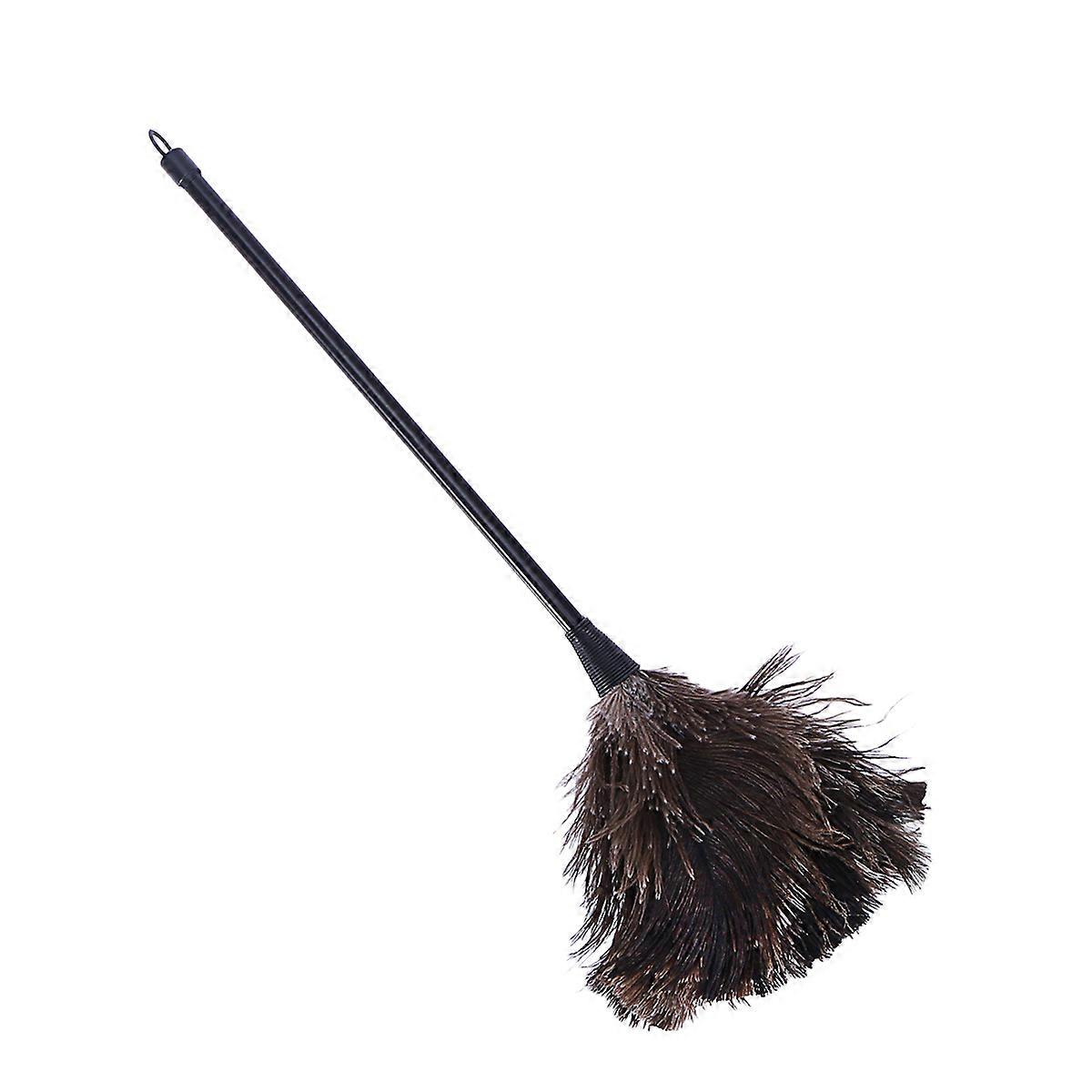 Long Handled Ostrich for Cleaning Use 2Pcs Black