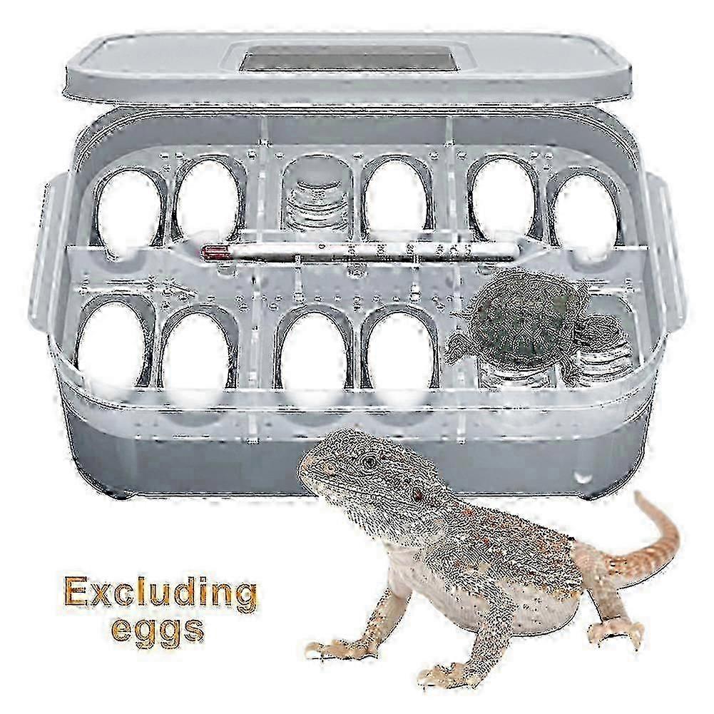 PP Material Reptile Egg Incubator 20L for Lizards Turtles Easy to Clean