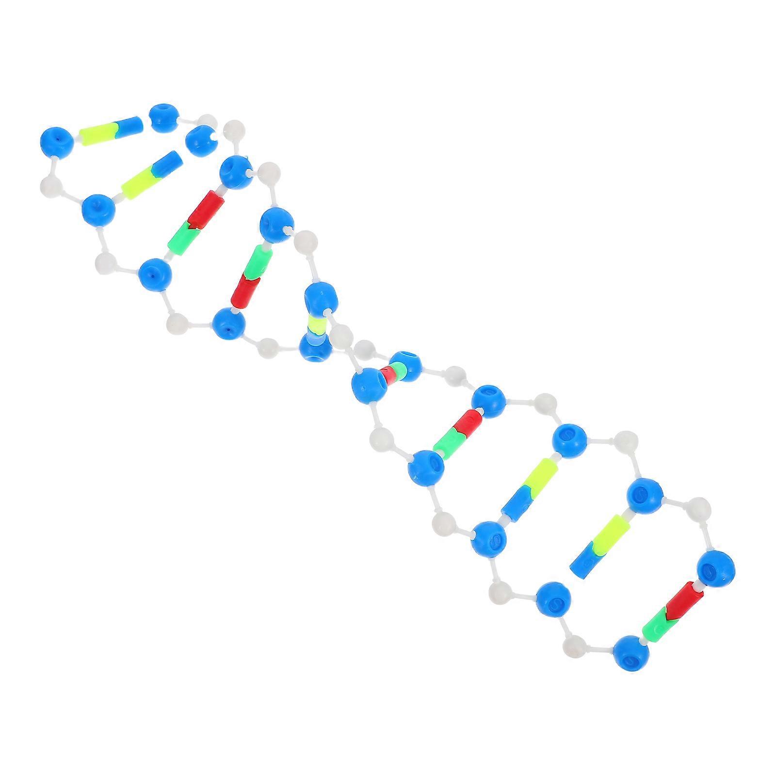 Molecular Models Double Helix Model for Classroom Use