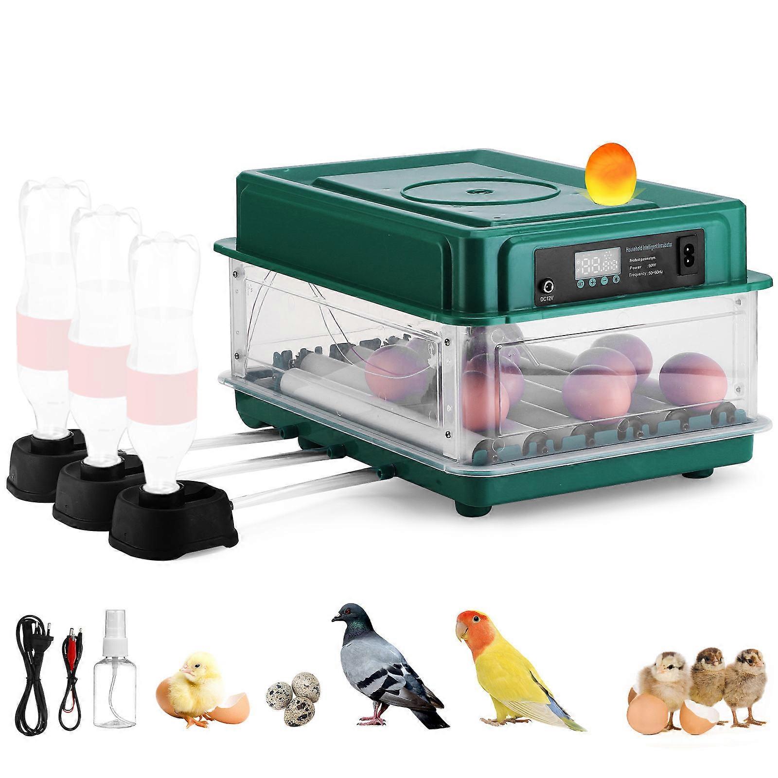 Incubator Chicken Fully Automatic Hatching Machine For Beginners Home Use Compact Dark Green 1Set Temperature Control