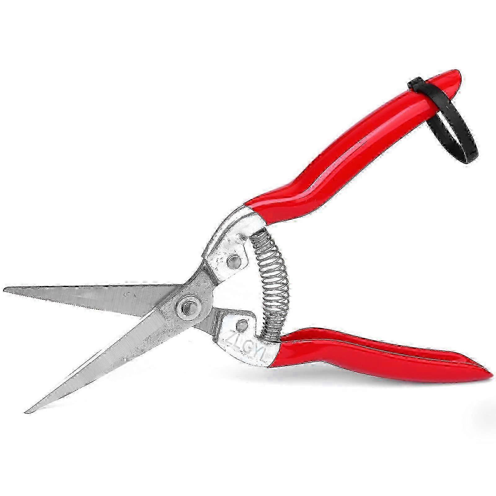 Professional Micro-Tip Pruning Snip for Plants