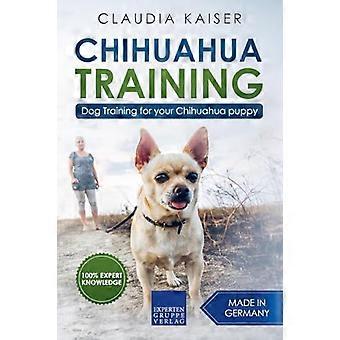 Chihuahua utbildning: hundträning för din Chihuahua valp