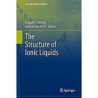 Die Struktur von ionischen Flüssigkeiten (weiche und biologische Materie)