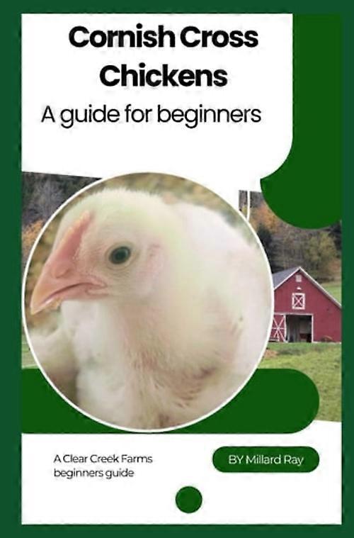 Cornish Cross Chickens A Brief Guide to Getting Started