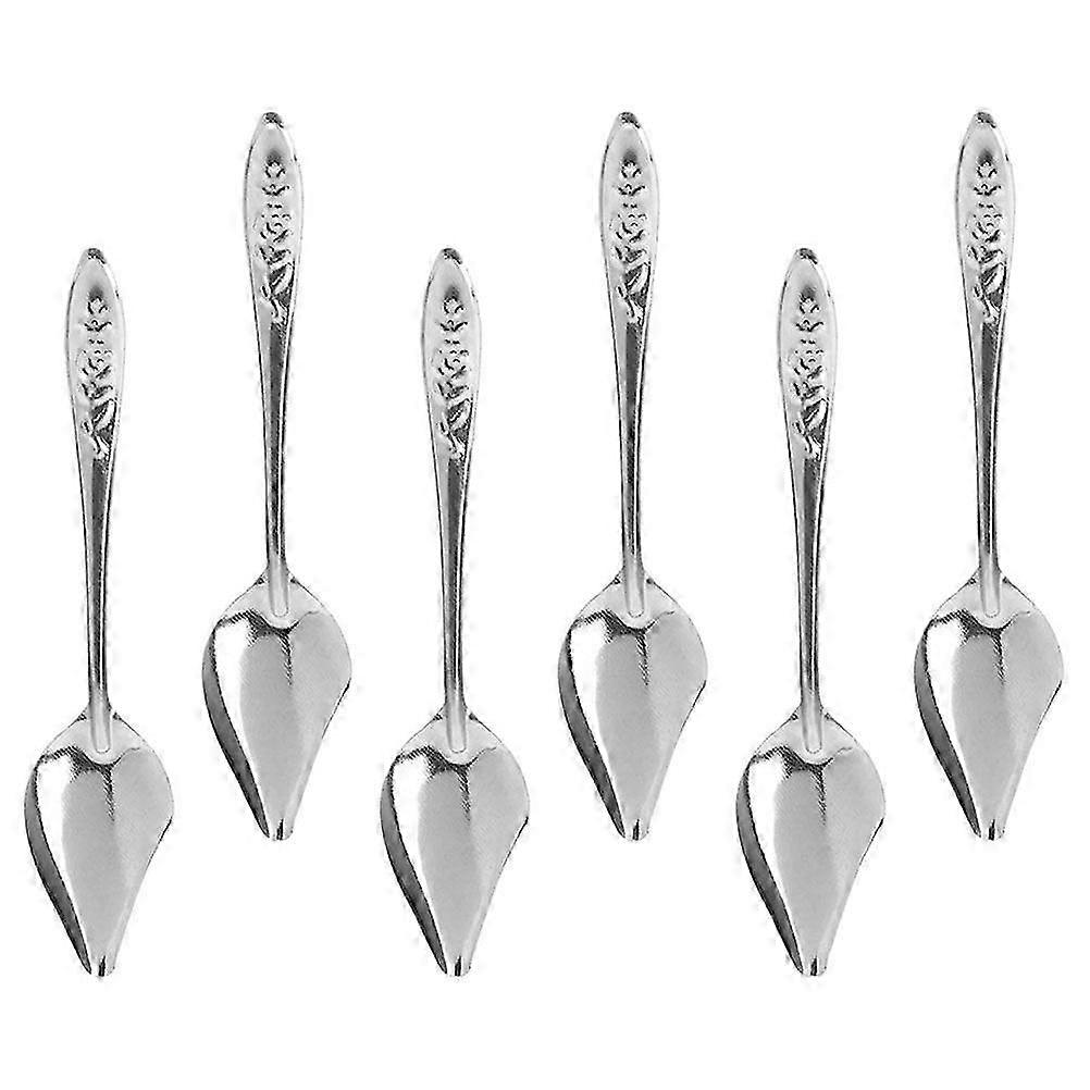 6Pcs Professional Parrot Spoons Multi-function Feeding Spoons Convenient Bird Spoons