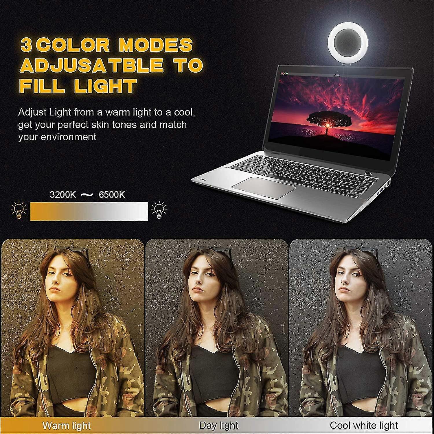 Video Conference Lighting Kit Dimmable 6500k Ring Light