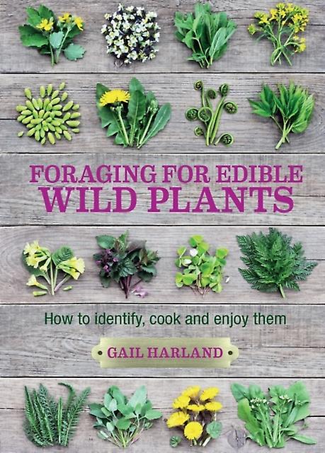 Cueillette de plantes sauvages comestibles - Gail Harland - Jardinage : plantes et guides de culture - Bloomsbury Publishing PLC - Broché
