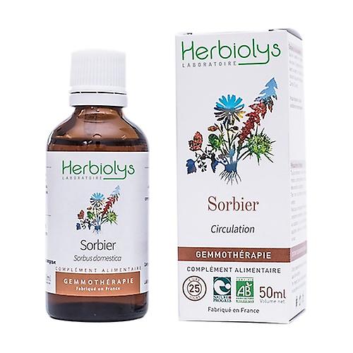 Gemmo Organic Mountain Ash 50 ml