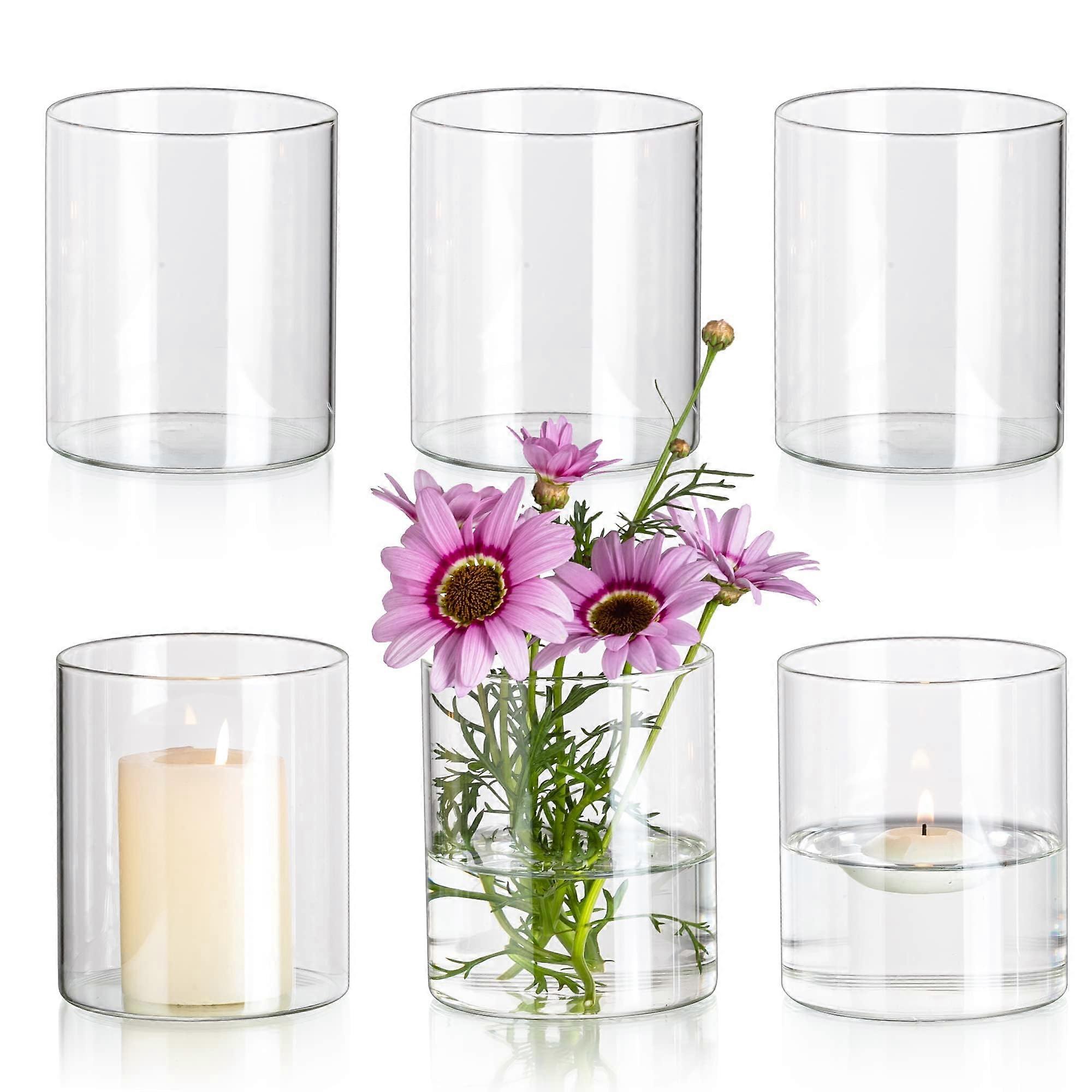 6 Glass Cylinder Vases Clear for Flowers and Floating Candles 4in