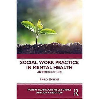 Social Work Practice in Mental Health An Introduction