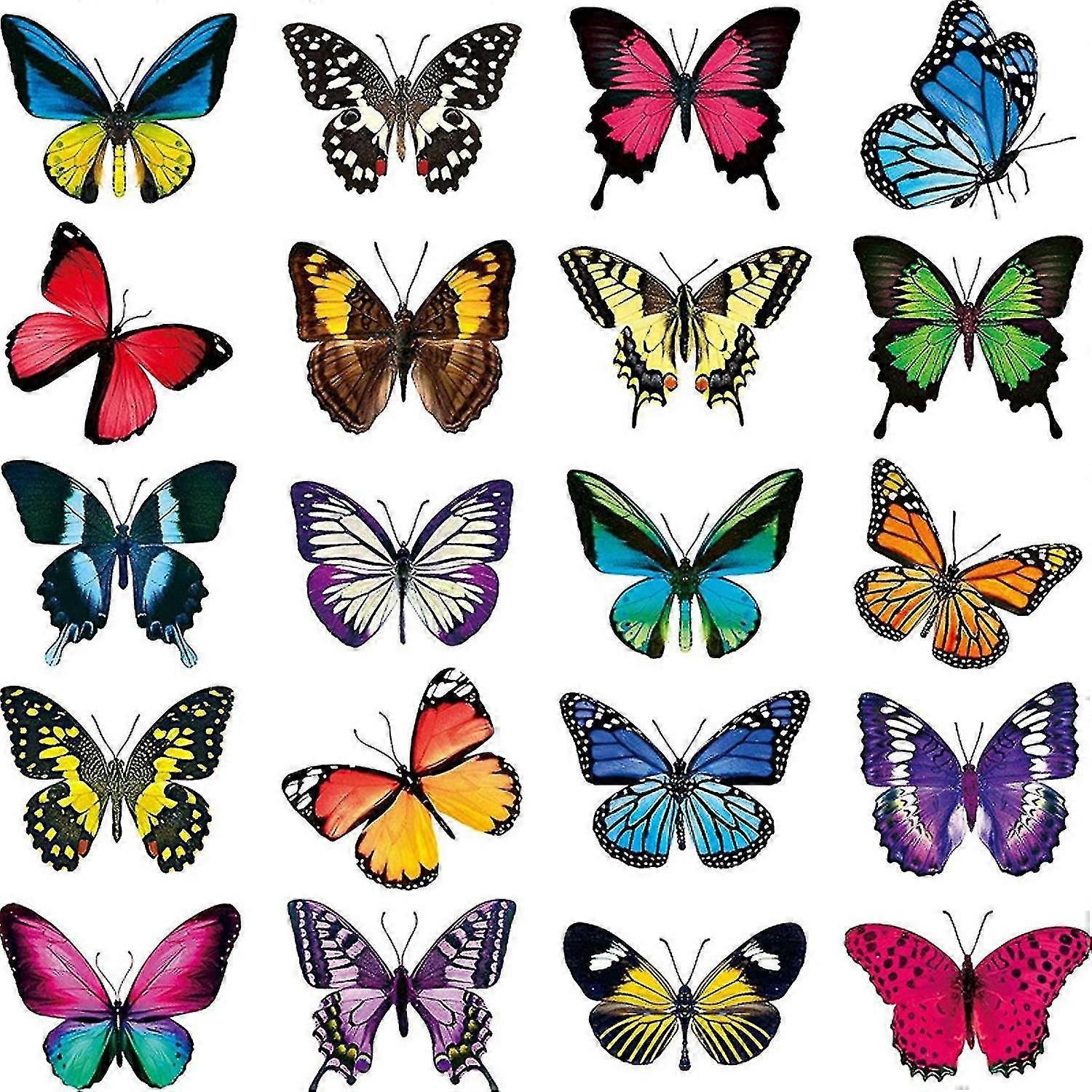 Large Beautiful Colourful Butterflies Cling Window Stickers Help Prevent Bird-st