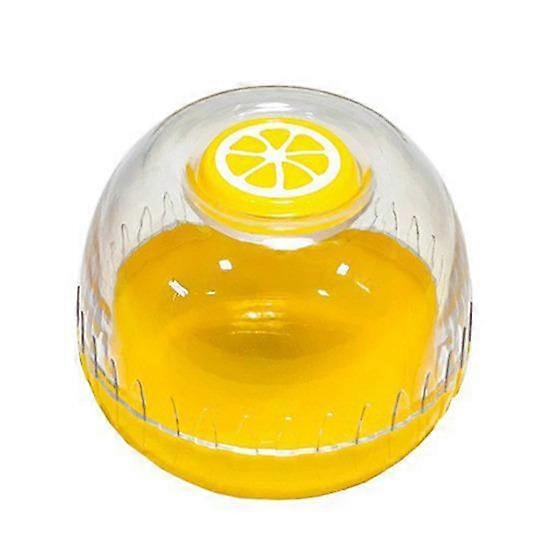Avocado Saver Holder Food Crisper Storage Box BPA Free Transparent Lid Design Easy to Clean Reusable Fruit Keeper Storage Container