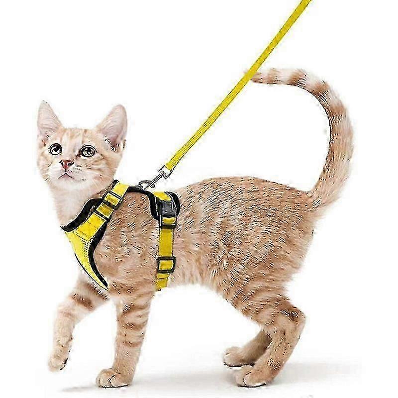Cat Harness and Leash for Walking Escape Proof, Adjustable Harness for Cats