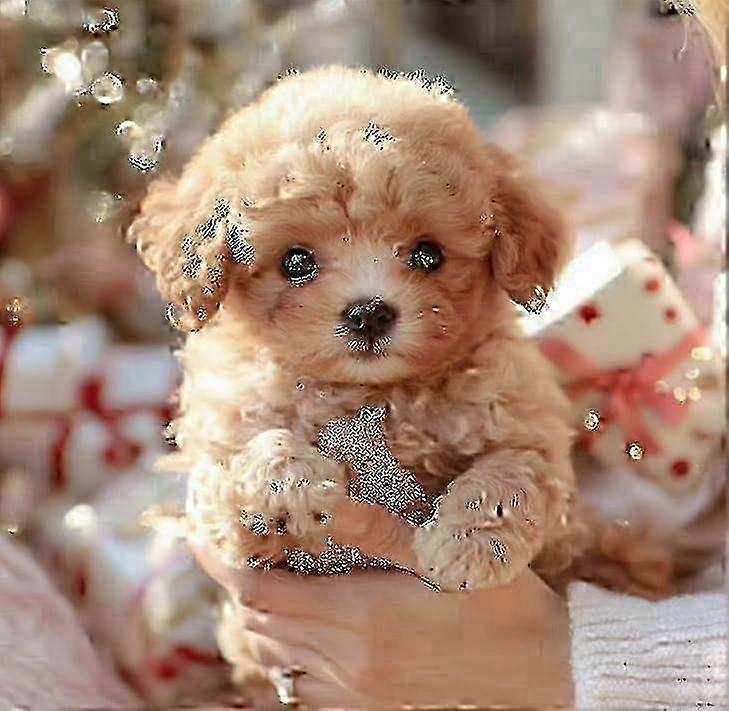 Nouveau chien robot pour adultes (2025), chien robotique IA, Nicoo – Mon chiot robot réaliste qui se comporte comme un vrai chiot – Marche, aboie et remue la queue