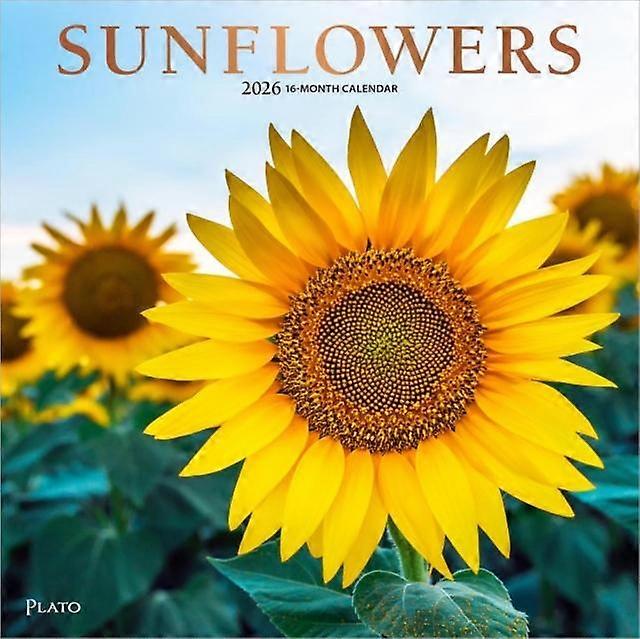 Sunflowers 2026 Square Plato Foil Calendar by BrownTrout Calendar Book