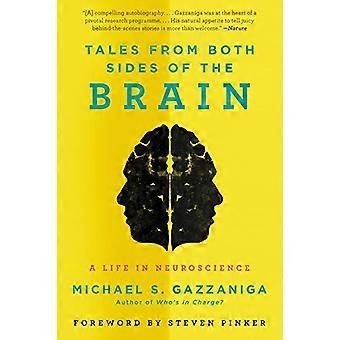 Geschichten von beiden Seiten des Gehirns: ein Leben in den Neurowissenschaften