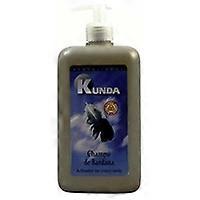 Burdock Shampoo 1 L