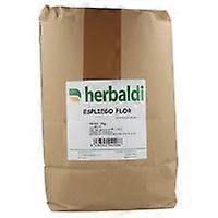 Lavender Herb Lavender Flower Extra 1 kg