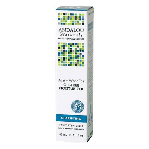 Andalou Naturals Acai Plus 无白茶无油保湿霜，巴西莓 + 康普茶，2.1 盎司（1 件装）