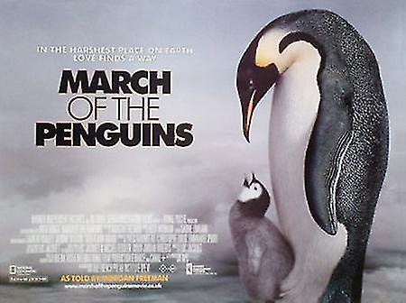 March Of The Penguins (Single Sided) Movie Poster
